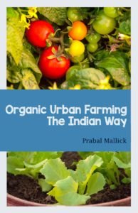organic urban farming cover