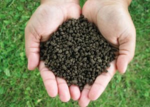 Soil carbon loss has been found to be significantly higher when nitrogen based chemical fertilizers are used