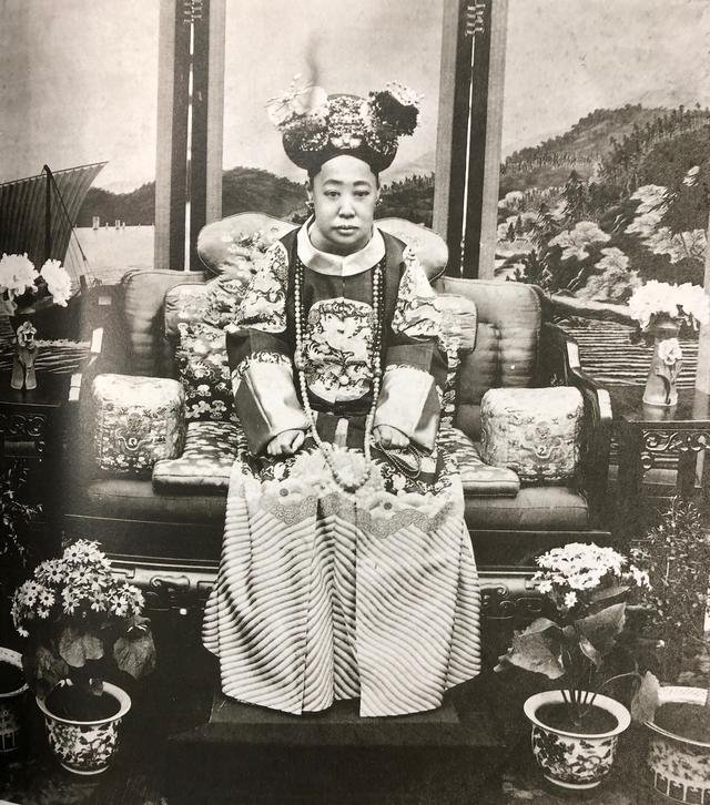 玫贵妃- 抖音百科