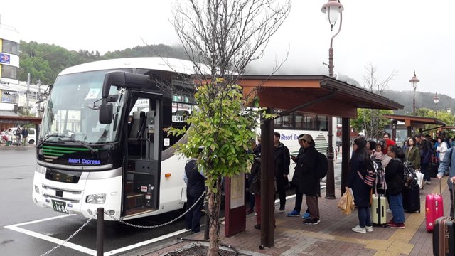 A Rainy Day at the Shiba-sakura Festival, Japan!