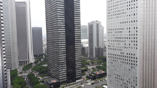 A Week at the Hilton Tokyo, Japan!