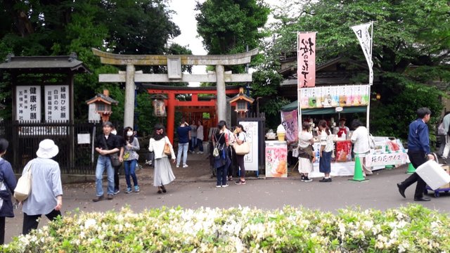 A Day at the Ueno Zoo in Tokyo, Japan!