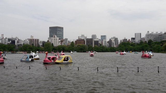 A Day at the Ueno Zoo in Tokyo, Japan!