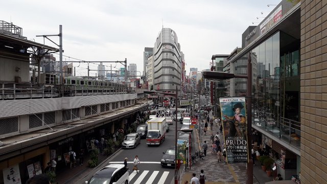 A Day at the Ueno Zoo in Tokyo, Japan!