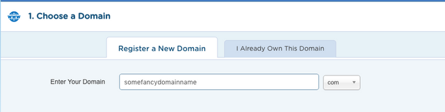 Choose Domain Name