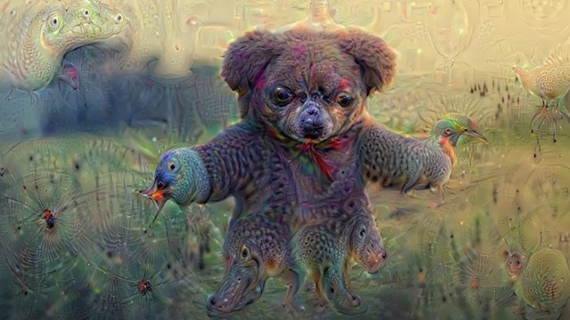 deep dreamed image of a teddy bear in a field