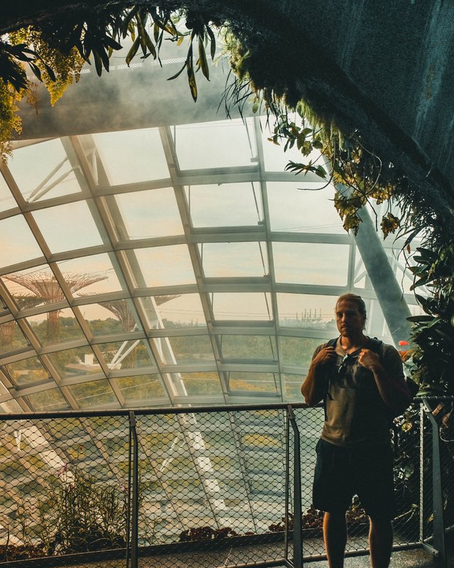 cloudforest gardens by the bay