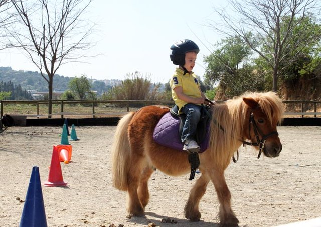 Resultado de imagen para cuidado de los ponys por niÃ±os