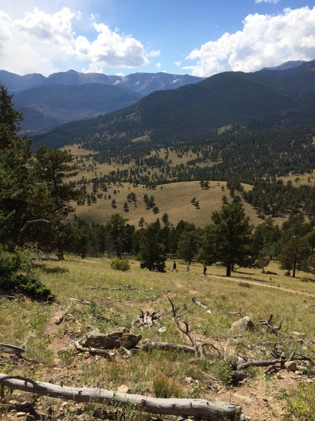 rmnp