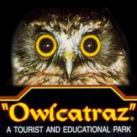 Image result for owlcatraz