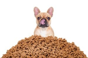 easy homemade dog treats