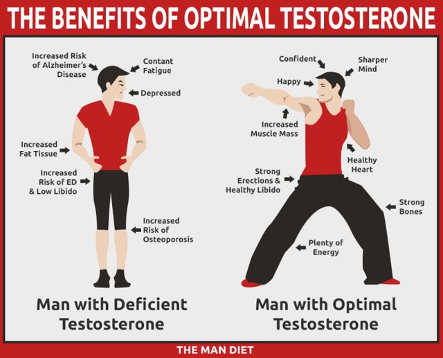 Testosterone by results onions increase 300 