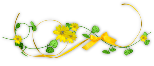 Желтые цветы с зеленью и ленточкой для оформления текста.... рамки для текста фото поздравления