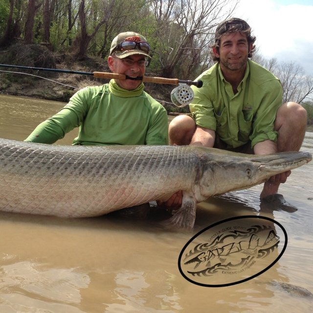 River Monsters Are Real — Steemit