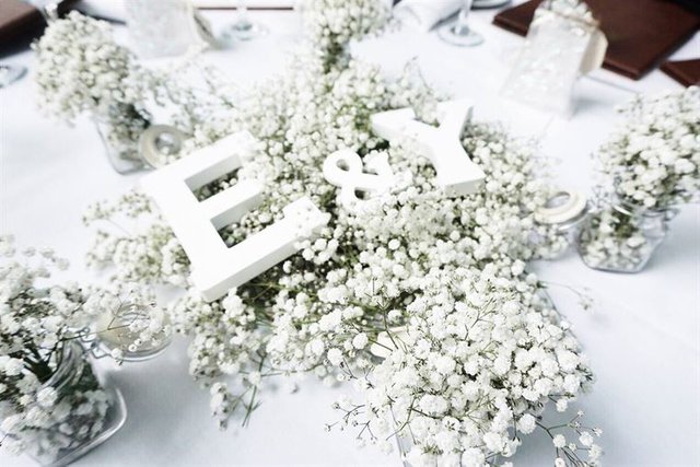 Baby’s Breath Wedding Globes Wedding Ideas