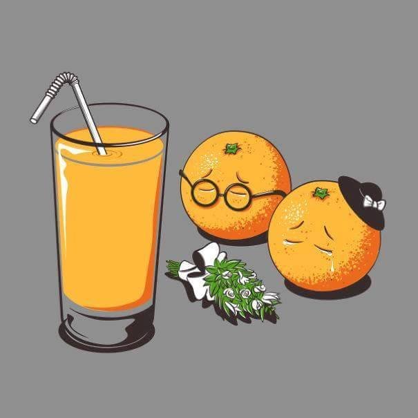 Sorry for the orange juice