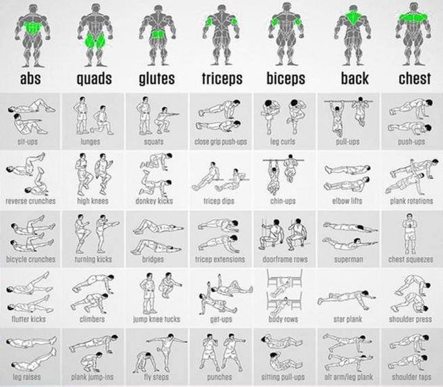 Different exercises for different muscle online groups