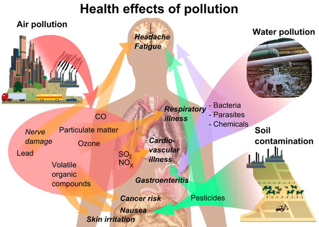 Health_effects_of_pollution.png