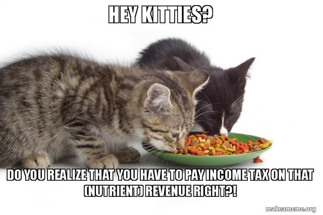 hey-kitties-do.jpg