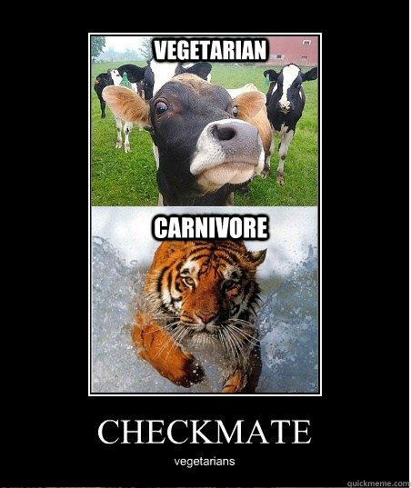 Image result for carnivore meme