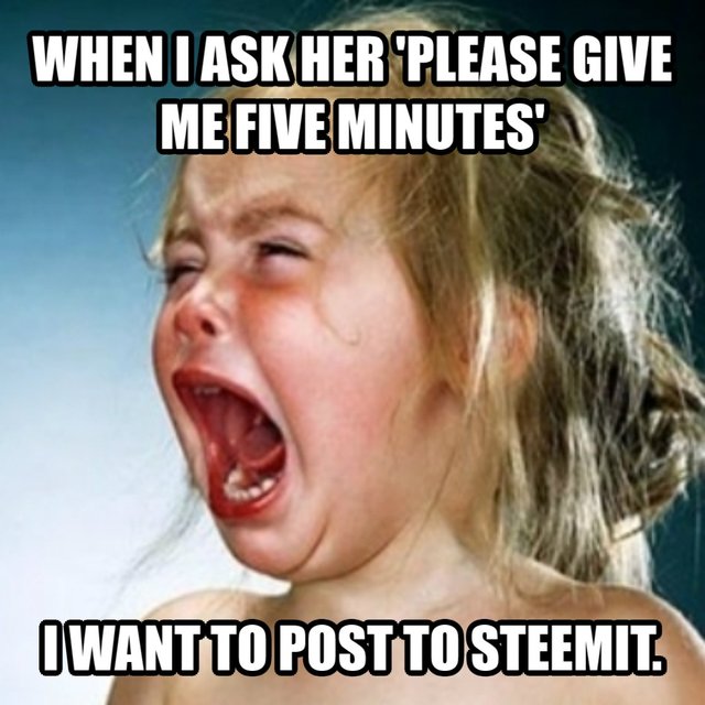 Four Fork Memes / The Steem Meme Project — Steemit