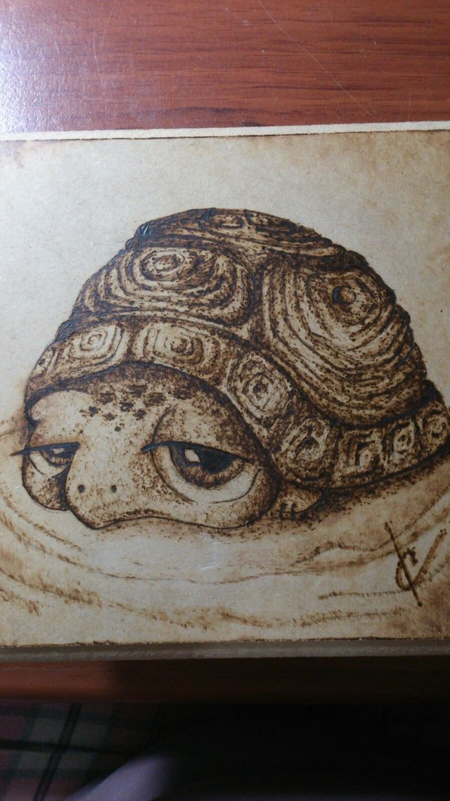 Pyro Turtle