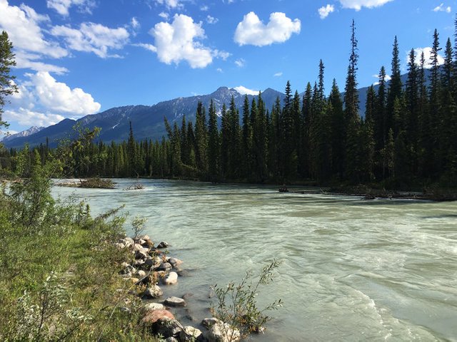 加拿大Banff国家公园 RV九天八夜自驾游（四）Kootenay National Park