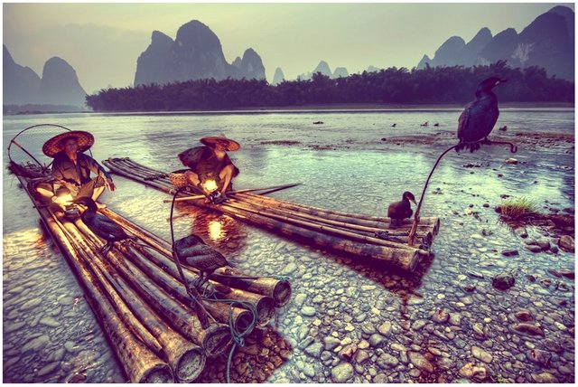 Chinese Fisherman And Birds — Steemit