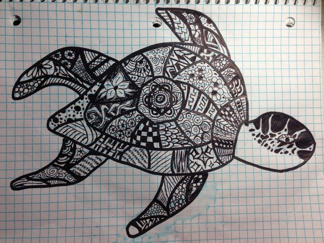 Meredith Loughran art doodling Turtle drawing