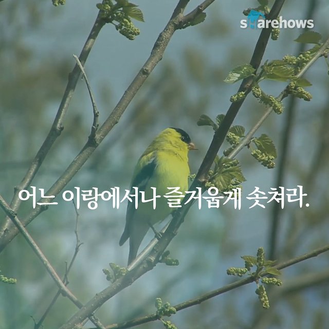 YunDongju-spring-poem-07