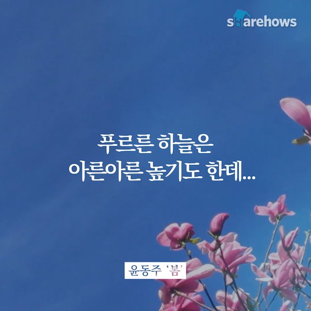 YunDongju-spring-poem-08