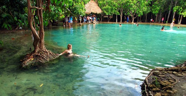 Emerald Pool - Krabi - Thailand