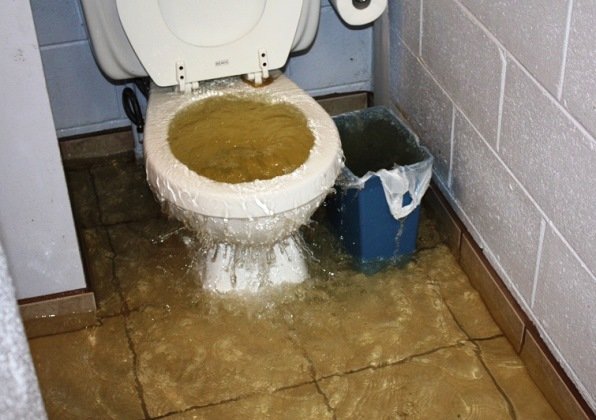poop