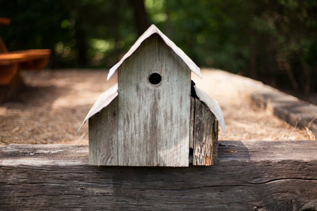 This is one of the original bird houses we built with our Grandfather 20 years ago.