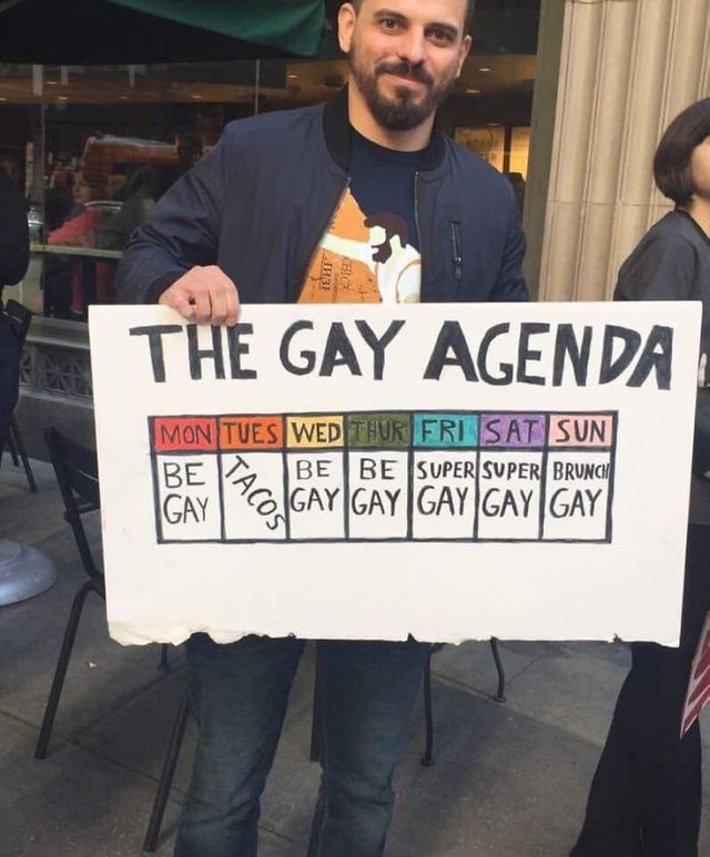 The Gay Agenda