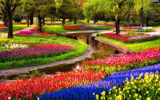 Keukenhof