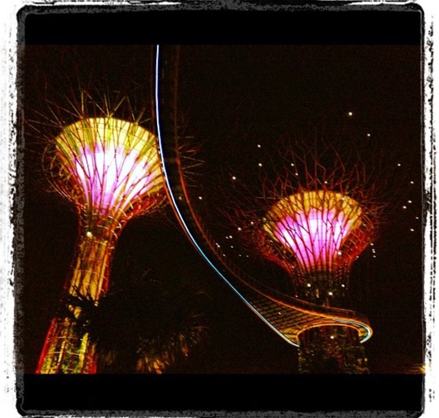 Gardens by the Bay Night