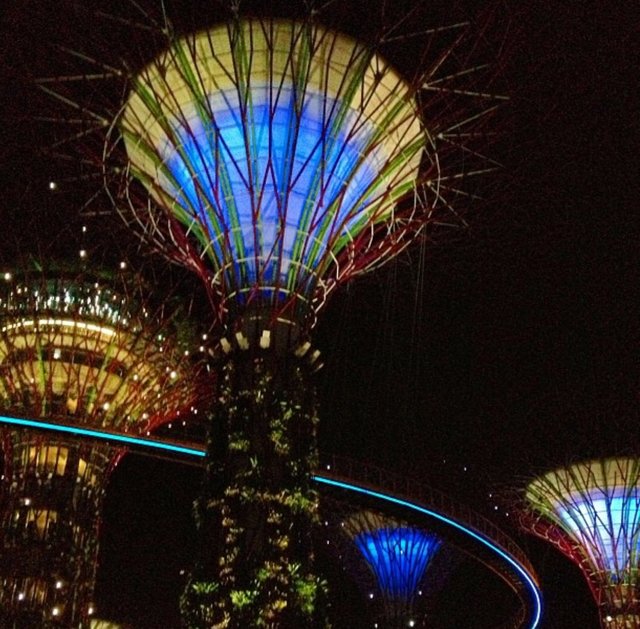 Gardens by the Bay