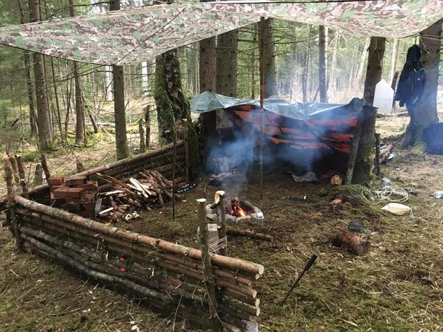 View on our small bushcraft camp — Steemit