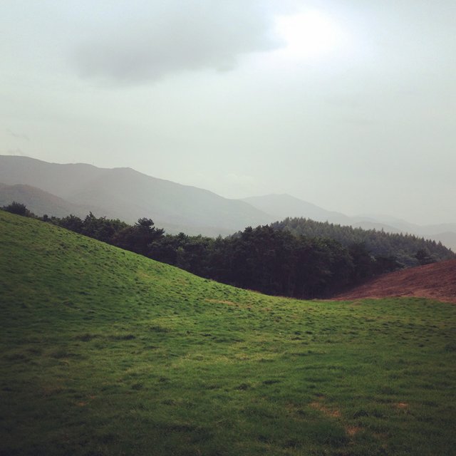 14088335-27aa-46e8-a60b-6fe5acecab30.jpeg