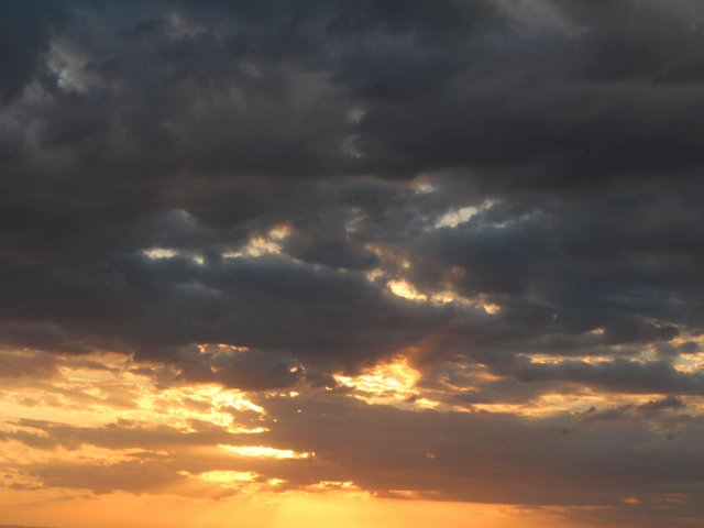 1dbbff7c-eb34-42cb-8f88-2b7cd5330bbe.jpeg