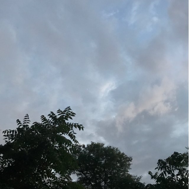 23738b4a-7507-4dad-835a-17abaa8720dd.jpeg