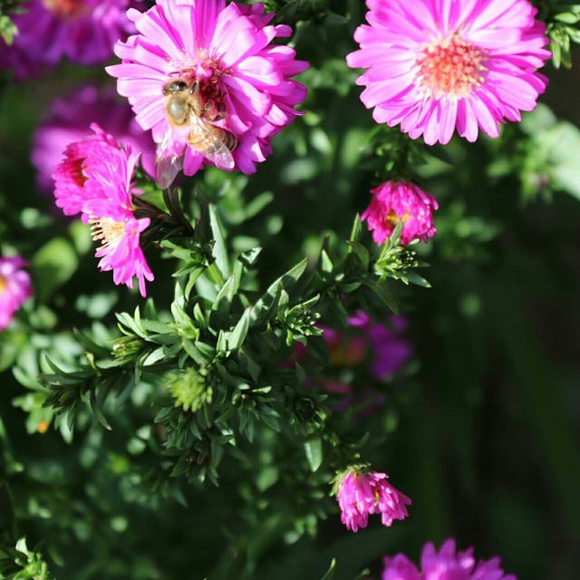 2ea72c35-6ac7-46c0-9a25-d52a991cc6d3.jpeg