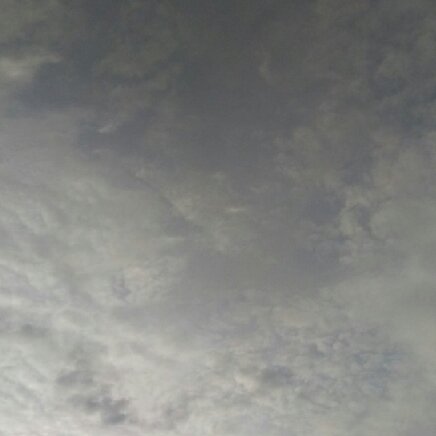 41bf1a06-119b-4ff9-84bd-1a83b169f5e9.jpeg