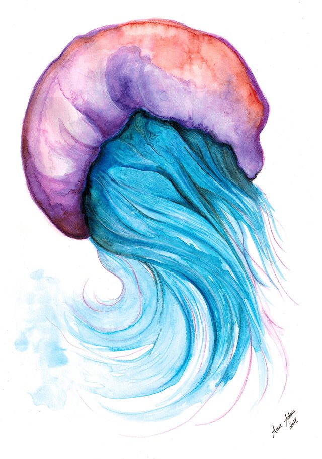 Aquarell Qualle Watercolor Painting Jellyfish Steemit