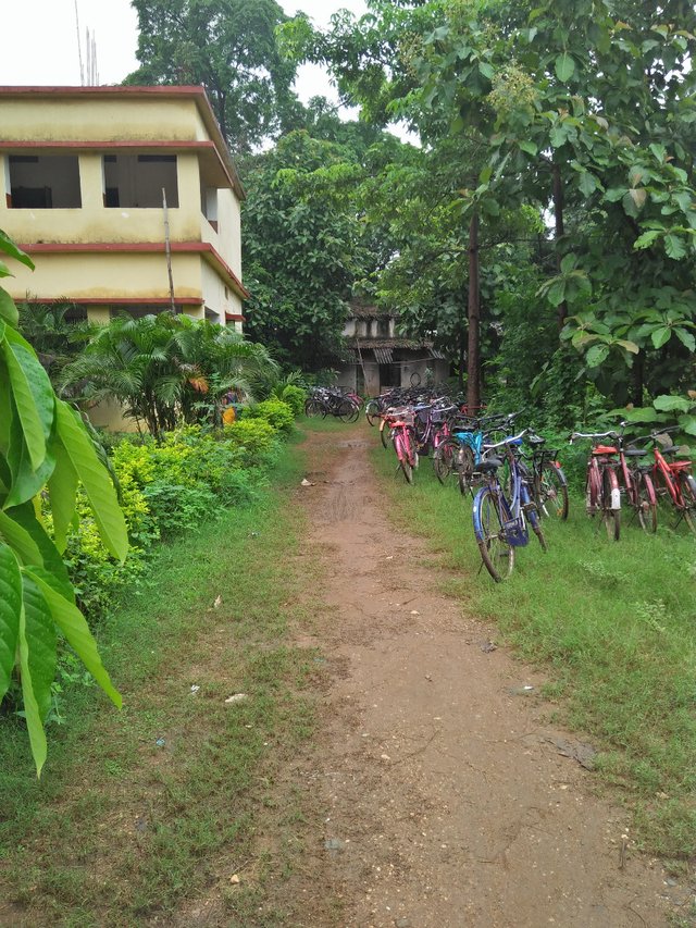 school cycle stand
