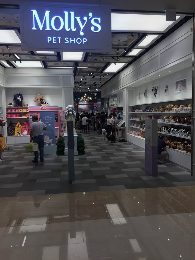 The Pet Shop  Mollie's Boutique