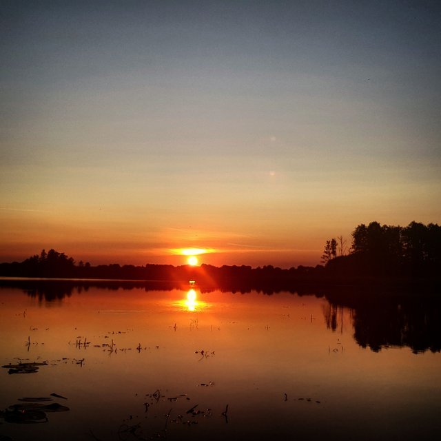b885fe10-8c16-41cc-a3a6-5dcca20cbe03.jpeg
