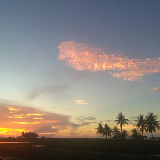 cf264d07-7aae-4bc0-b80f-cbb2e39ad47b.jpeg