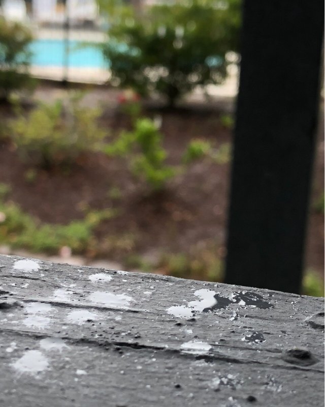 d1486961-24e3-4125-b0a7-21f35f9c95dd.jpeg